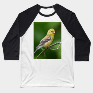 American Goldfinch on a beautiful Spring Day Baseball T-Shirt