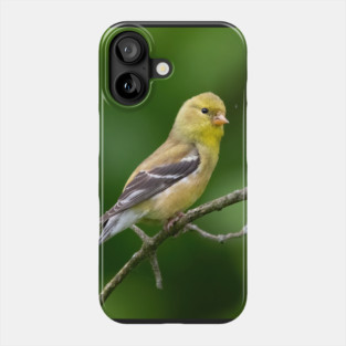 American Goldfinch on a beautiful Spring Day Phone Case