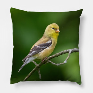 American Goldfinch on a beautiful Spring Day Pillow