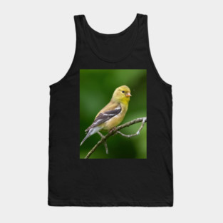 American Goldfinch on a beautiful Spring Day Tank Top