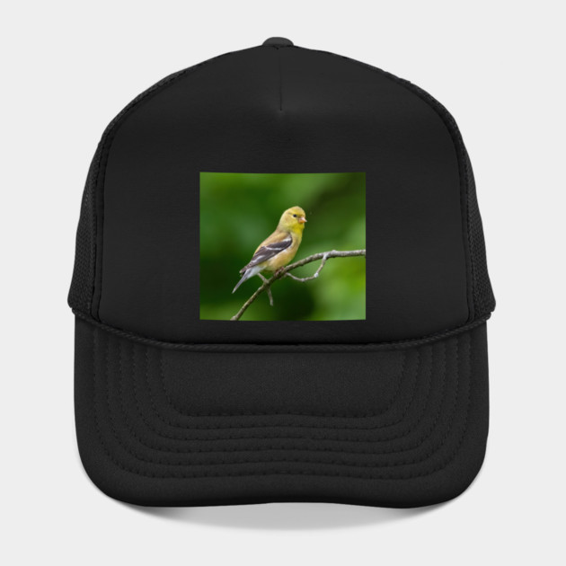 American Goldfinch on a beautiful Spring Day by BirdsnStuff