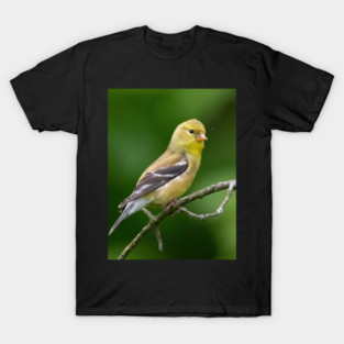 American Goldfinch on a beautiful Spring Day T-Shirt