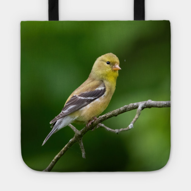 American Goldfinch on a beautiful Spring Day Tote by BirdsnStuff