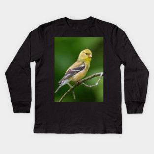 American Goldfinch on a beautiful Spring Day Kids Long Sleeve T-Shirt
