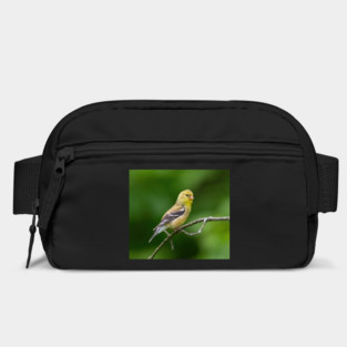 American Goldfinch on a beautiful Spring Day Bag