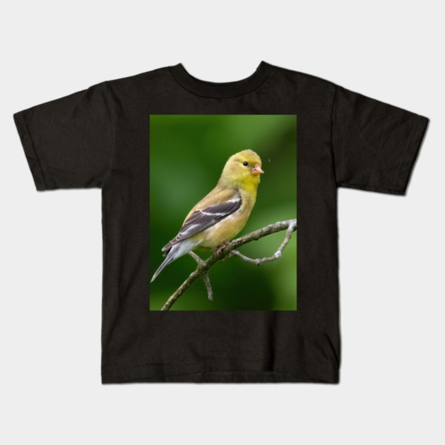 American Goldfinch on a beautiful Spring Day Kids T-Shirt by BirdsnStuff