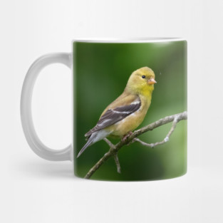 American Goldfinch on a beautiful Spring Day Mug