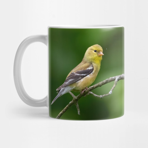American Goldfinch on a beautiful Spring Day by BirdsnStuff