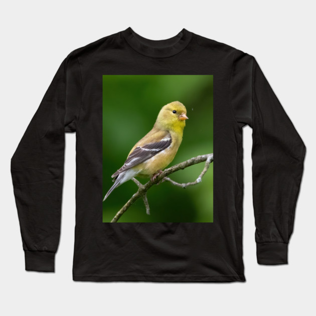 American Goldfinch on a beautiful Spring Day Long Sleeve T-Shirt by BirdsnStuff