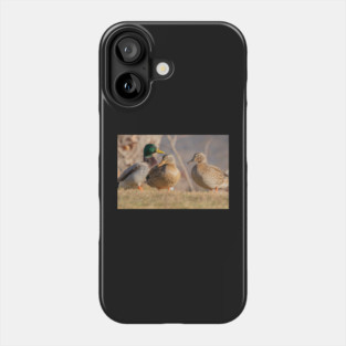 Three Mallard Ducks Phone Case