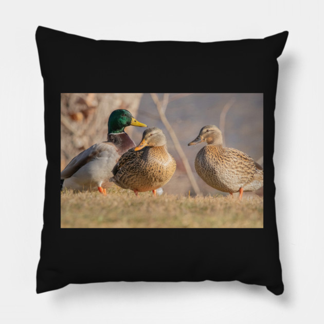 Three Mallard Ducks Pillow by BirdsnStuff
