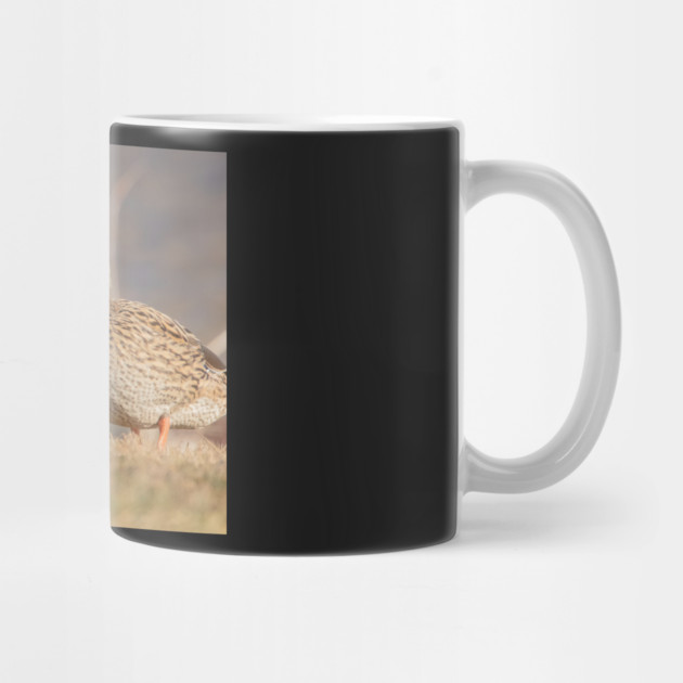 Three Mallard Ducks by BirdsnStuff