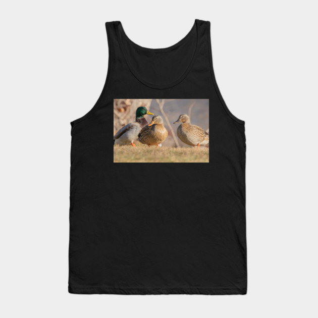Three Mallard Ducks Tank Top by BirdsnStuff