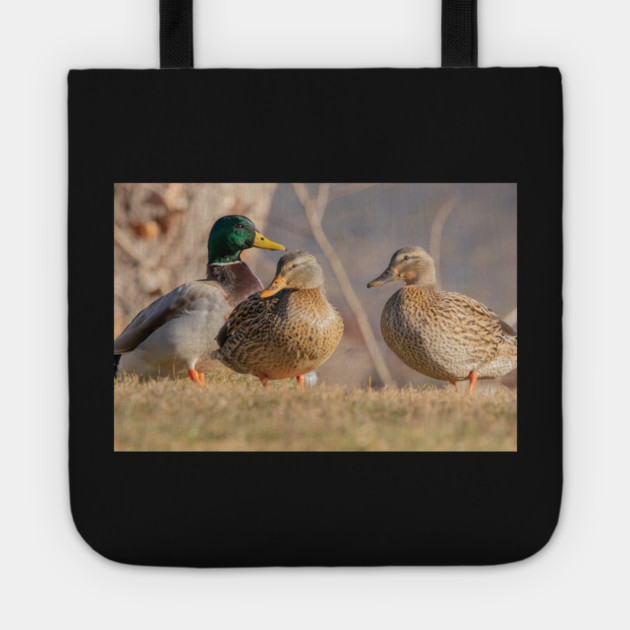 Three Mallard Ducks Tote by BirdsnStuff