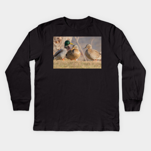 Three Mallard Ducks Kids Long Sleeve T-Shirt by BirdsnStuff