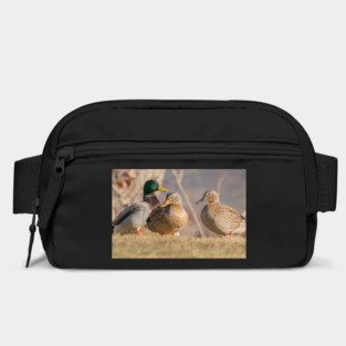 Three Mallard Ducks Bag