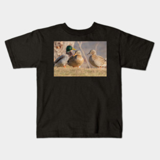 Three Mallard Ducks Kids T-Shirt