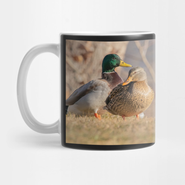 Three Mallard Ducks by BirdsnStuff