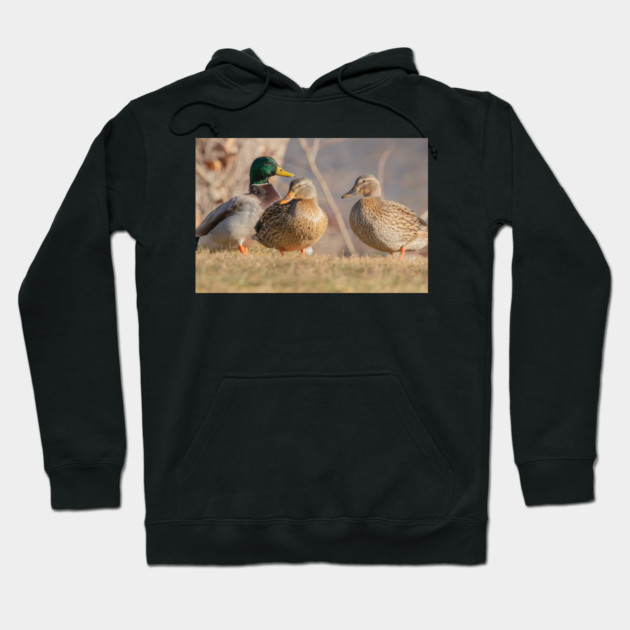 Three Mallard Ducks Hoodie by BirdsnStuff