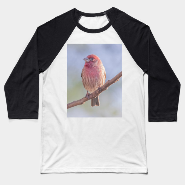 House Finch on blue/green blurred background Baseball T-Shirt by BirdsnStuff