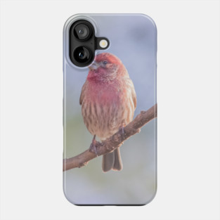 House Finch on blue/green blurred background Phone Case