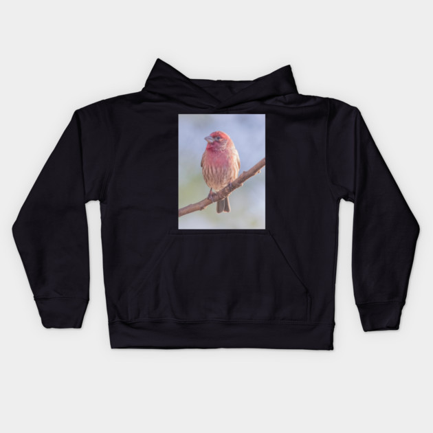 House Finch on blue/green blurred background Kids Hoodie by BirdsnStuff