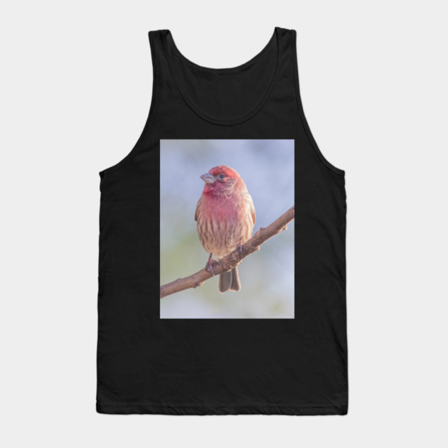 House Finch on blue/green blurred background Tank Top by BirdsnStuff