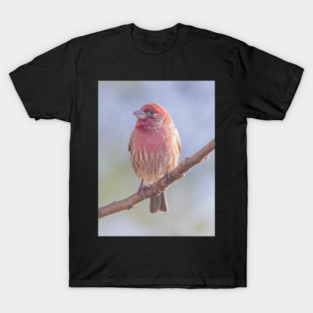 House Finch on blue/green blurred background T-Shirt