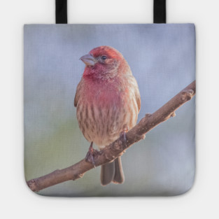 House Finch on blue/green blurred background Tote
