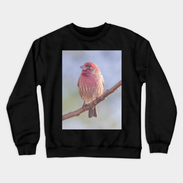 House Finch on blue/green blurred background Crewneck Sweatshirt by BirdsnStuff