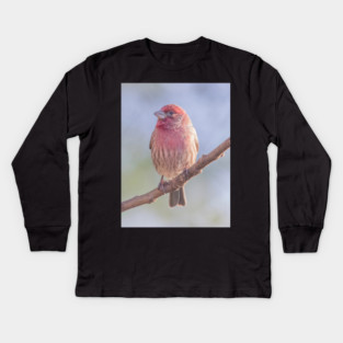 House Finch on blue/green blurred background Kids Long Sleeve T-Shirt