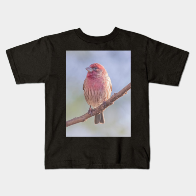 House Finch on blue/green blurred background Kids T-Shirt by BirdsnStuff