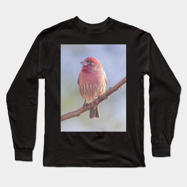 House Finch on blue/green blurred background Long Sleeve T-Shirt by BirdsnStuff