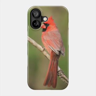 Northern Cardinal Phone Case