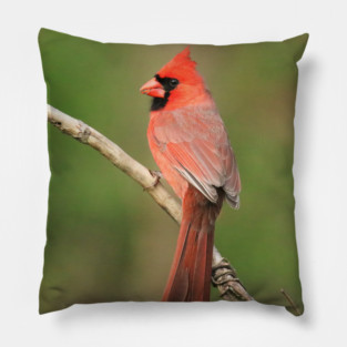 Northern Cardinal Pillow