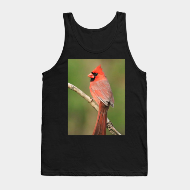 Northern Cardinal Tank Top by BirdsnStuff
