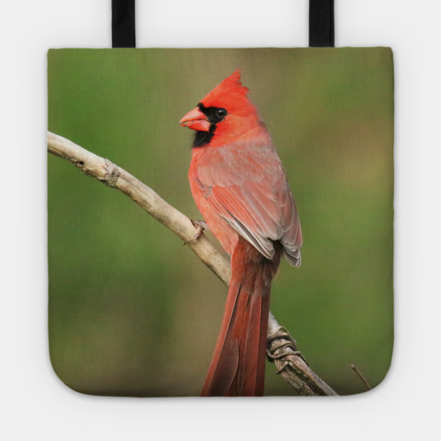 Northern Cardinal Tote by BirdsnStuff