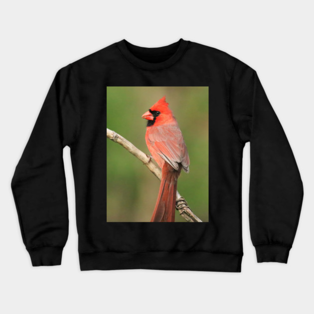 Northern Cardinal Crewneck Sweatshirt by BirdsnStuff