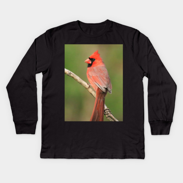 Northern Cardinal Kids Long Sleeve T-Shirt by BirdsnStuff