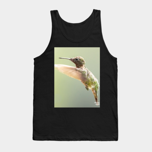 Ruby-throated Hummingbird in flight Tank Top by BirdsnStuff
