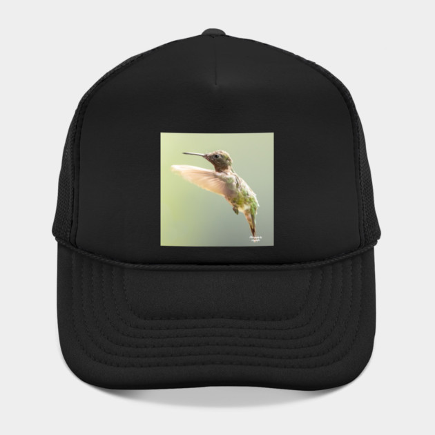 Ruby-throated Hummingbird in flight by BirdsnStuff