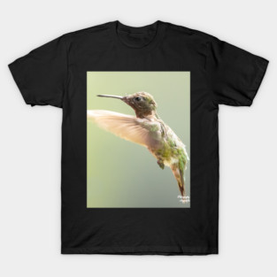 Ruby-throated Hummingbird in flight T-Shirt