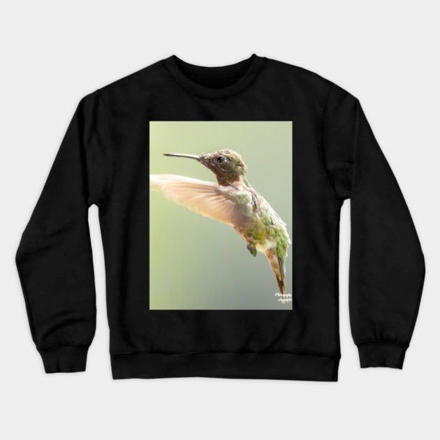 Ruby-throated Hummingbird in flight Crewneck Sweatshirt by BirdsnStuff