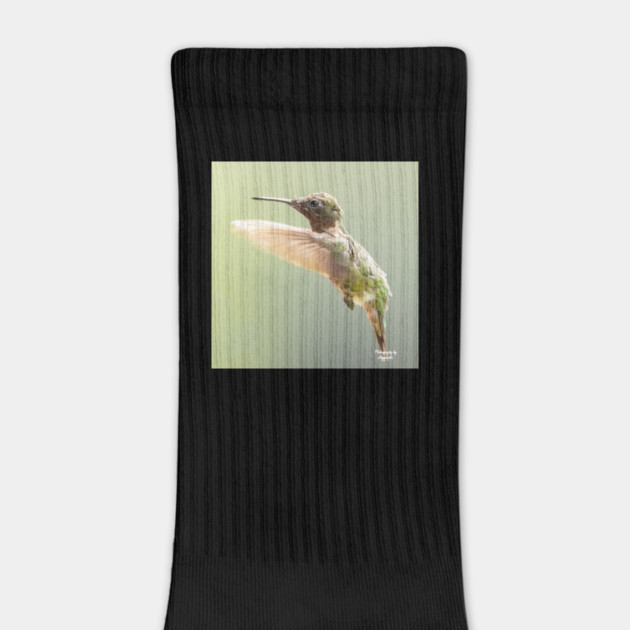 Ruby-throated Hummingbird in flight by BirdsnStuff