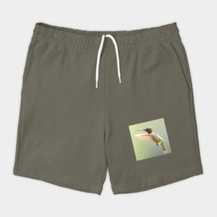 Ruby-throated Hummingbird in flight Shorts