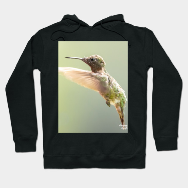 Ruby-throated Hummingbird in flight Hoodie by BirdsnStuff