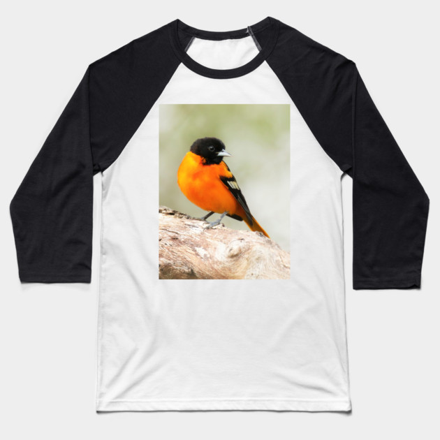 Baltimore Oriole Portrait Baseball T-Shirt by BirdsnStuff