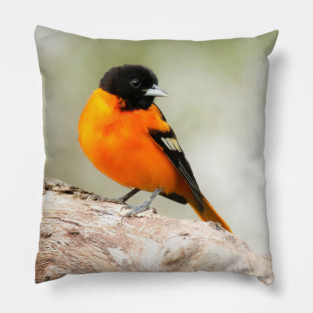 Baltimore Oriole Portrait Pillow