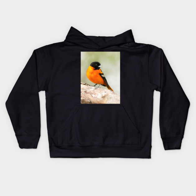 Baltimore Oriole Portrait Kids Hoodie by BirdsnStuff