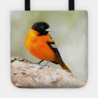 Baltimore Oriole Portrait Tote